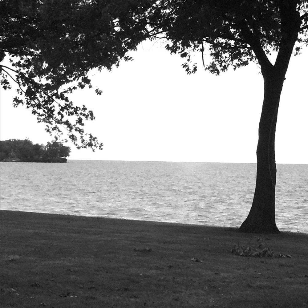 Meet your Posher, Cara